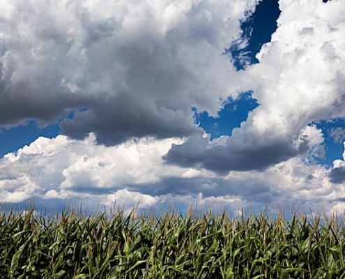 Wolken